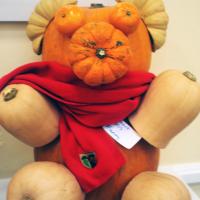Teddy pumpkin