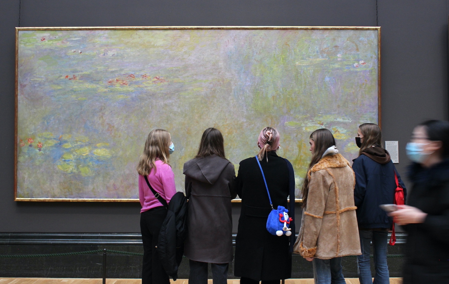 Monet's  Waterlilies