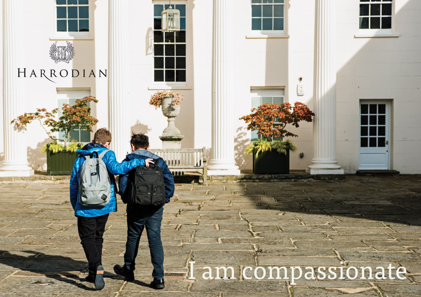 Compassion Blog