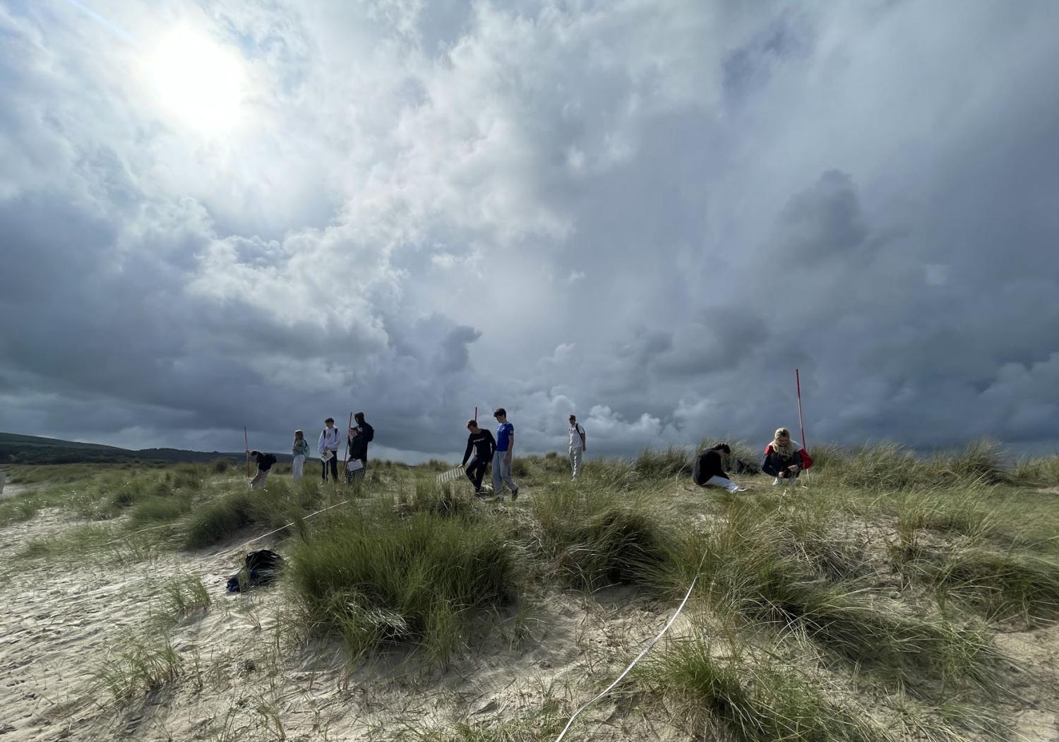 Wils sky and beach