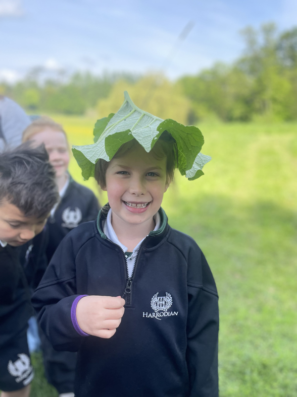 leaf hat 2