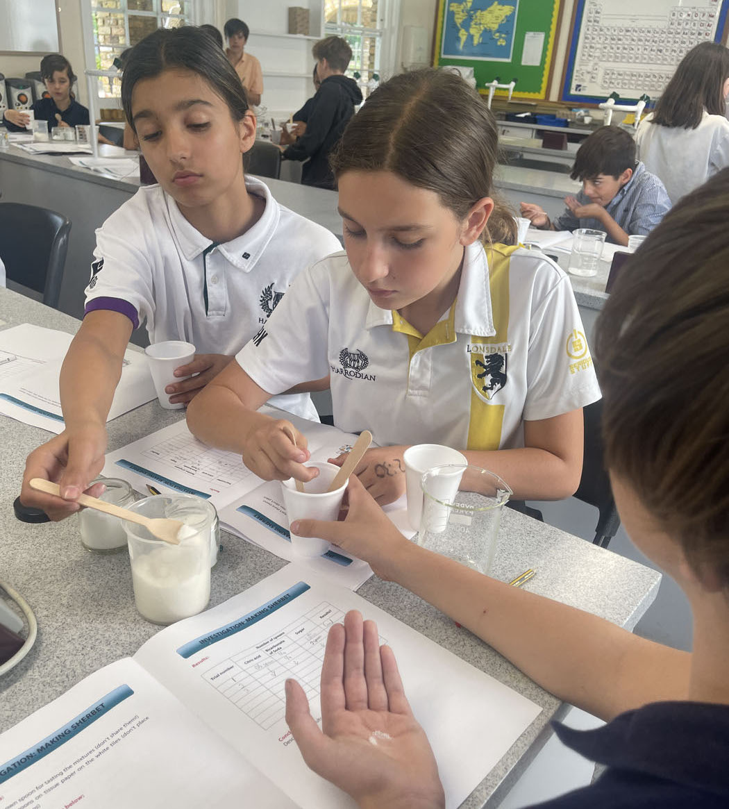 Making and tasting sherbet