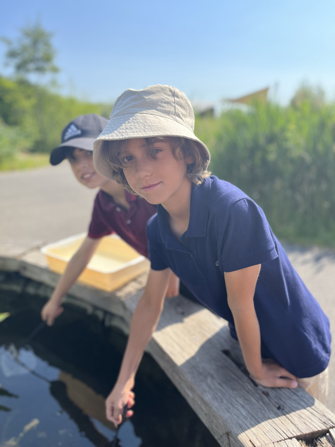 Pond dipping