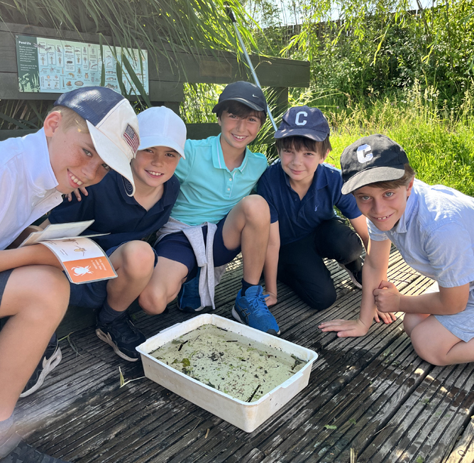 boys at Wetlands