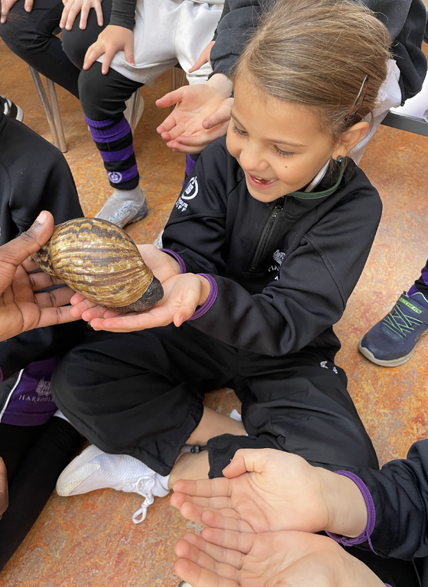 snail
