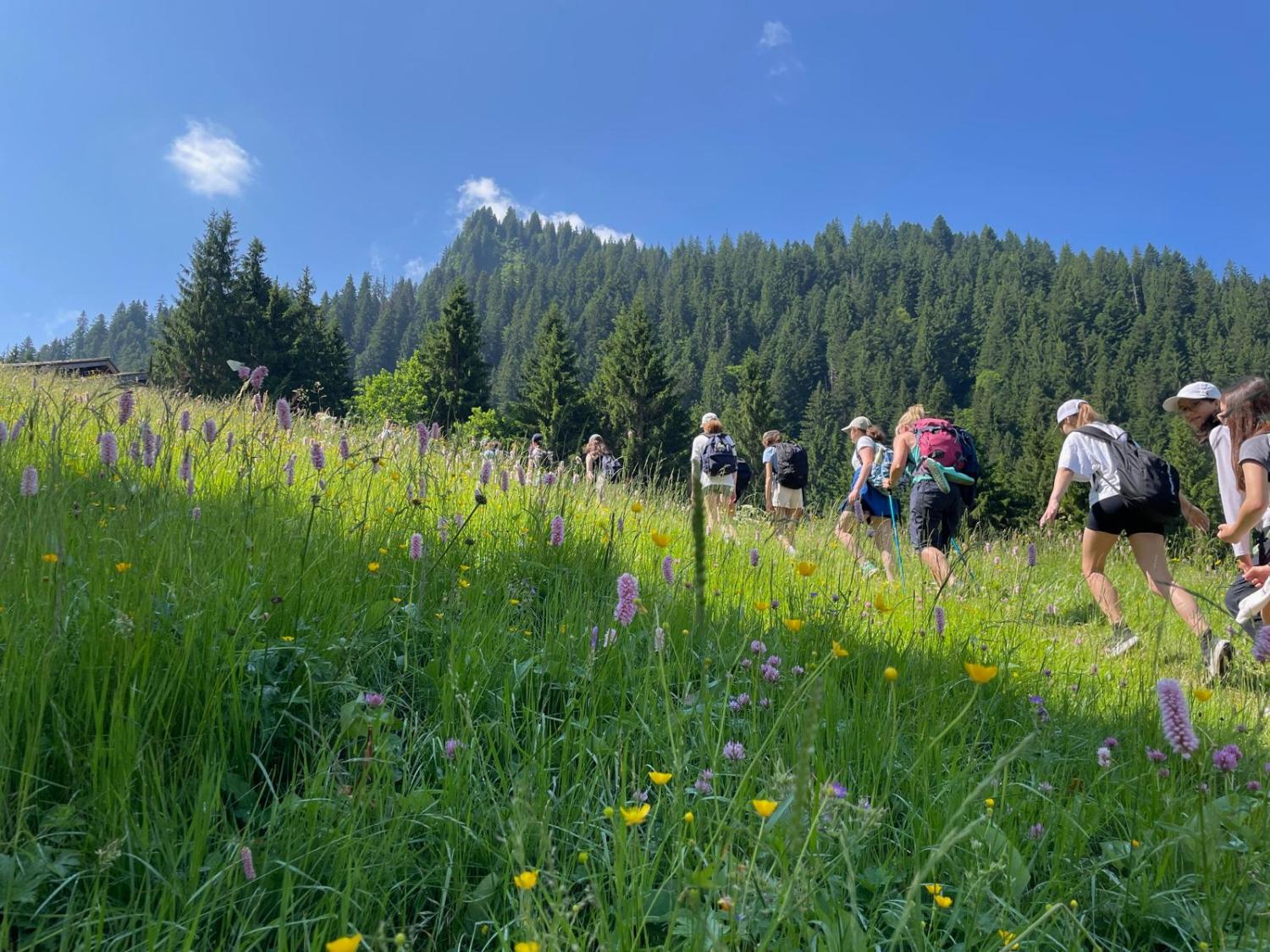 swiss walk