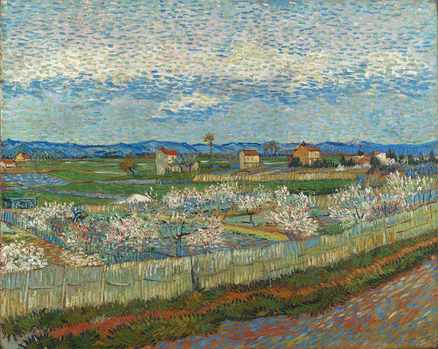 Vincent Van Gogh Peach trees in Blossom