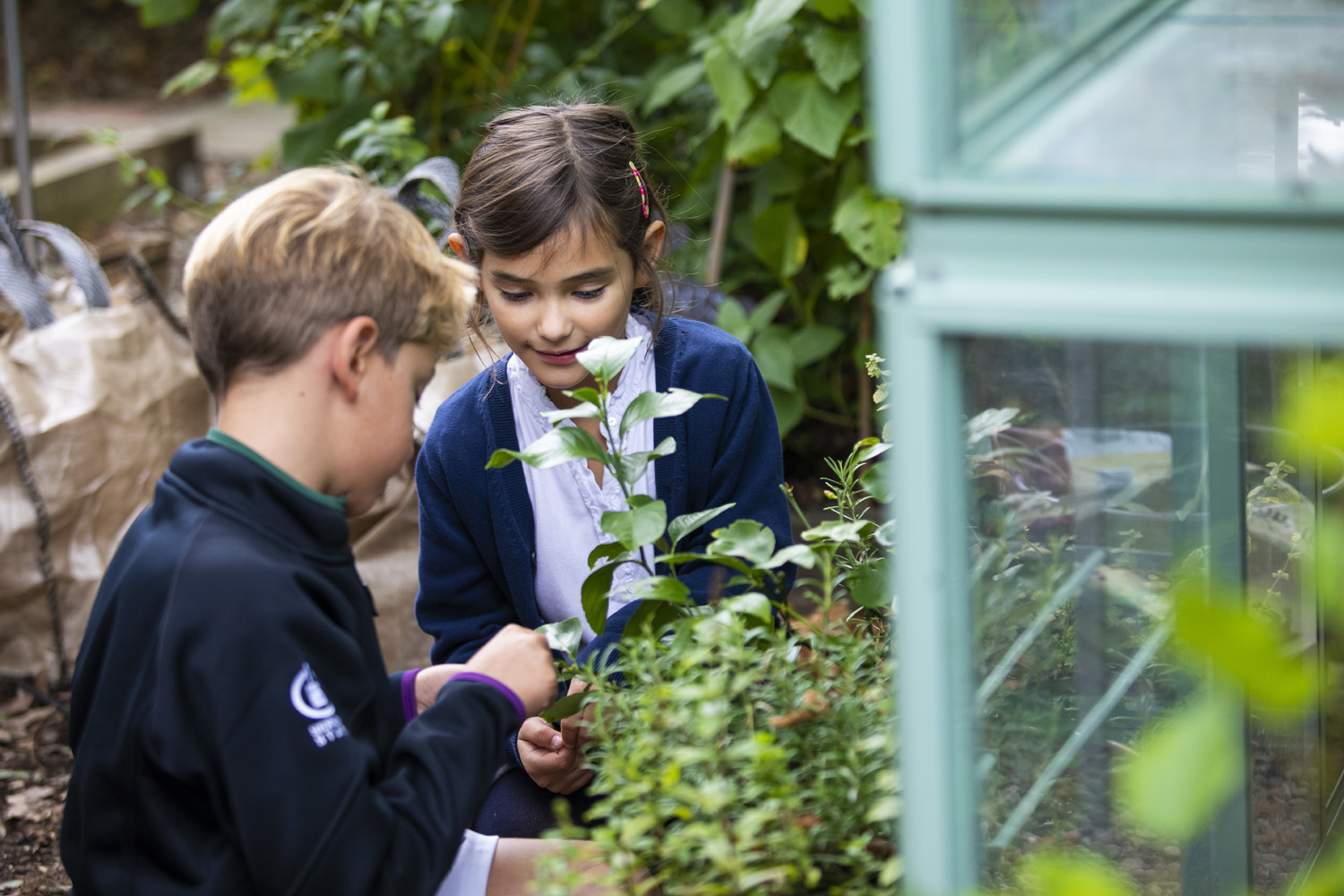 curious gardeners