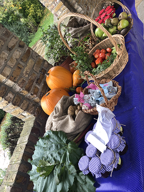 Allotment%20table.jpg