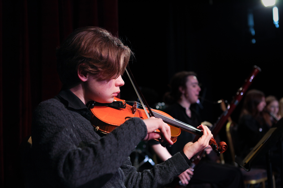 violin player