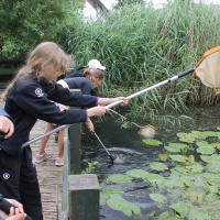 Trip to the Wetlands Centre in Barnes, June 2021 9s