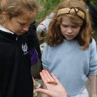 Trip to the Wetlands Centre in Barnes, June 2021 9s