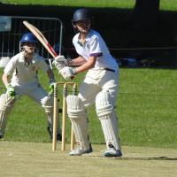 11s (year 6) Cricket fixture