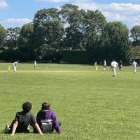 11s (year 6) Cricket fixture