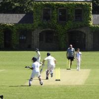 11s (year 6) Cricket fixture