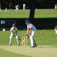 11s (year 6) Cricket fixture