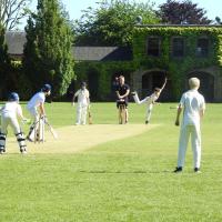 11s (year 6) Cricket fixture