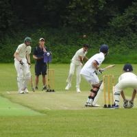 14s (Year 10) Cricket fixture