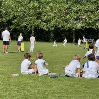 9s (Year 4) Cricket fixture