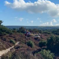 Geography Field Trip: Swanage September 2021