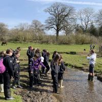 11s Field Trip to River Tillingbourne