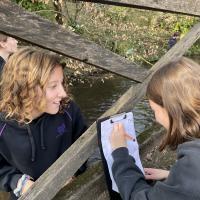 11s Field Trip to River Tillingbourne