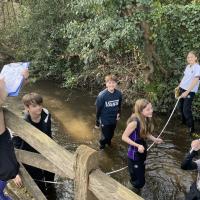 11s Field Trip to River Tillingbourne