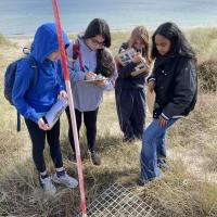 Studland Dunes