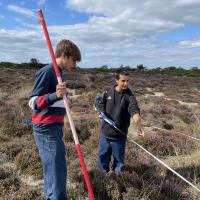 Studland Dunes