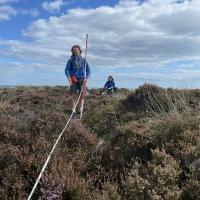 Studland Dunes