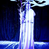 The Snow Queen Gallery