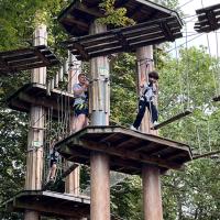 8s Go Ape team building trip September 2023