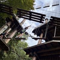 8s Go Ape team building trip September 2023