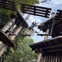 8s Go Ape team building trip September 2023