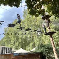 8s Go Ape team building trip September 2023