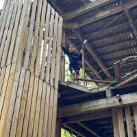 8s Go Ape team building trip September 2023