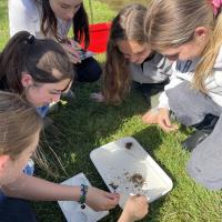 Geography Field trip to Swanage and the Isle of Purbeck