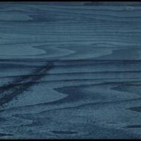 Cycle of Life and Nature by James Goldsmith, Cyanotype printed on wood