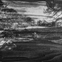 Cycle of Life and Nature by James Goldsmith, Silver Gelatine printed on wood