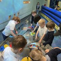 Reception Science Museum trip May 2023