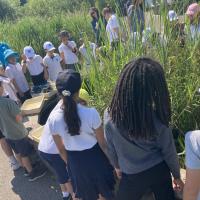 8s Wetlands trip June 2023