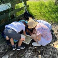 8s Wetlands trip June 2023