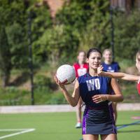 sport portriats