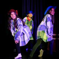 Dance Show November 2024
