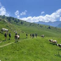 13s Morzine Trip 2025