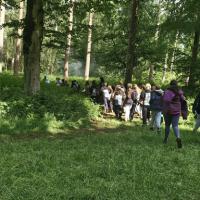 Bushcraft Wild Things June 2025