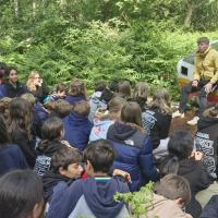 Bushcraft Wild Things June 2025