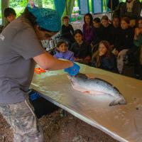 Bushcraft Wild Things June 2025