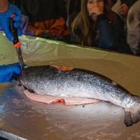 Bushcraft Wild Things June 2025