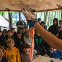 Bushcraft Wild Things June 2025